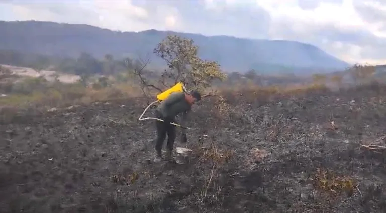 Não basta conscientizar, tem que punir quem promove queimadas sem controle e incêndios