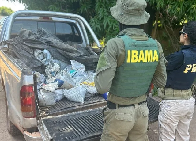 Operação foi realizada pela Polícia Rodoviária Federal (PRF), em ação conjunta com o Instituto Brasileiro do Meio Ambiente e dos Recursos Naturais Renováveis (IBAMA). (Foto: Divulgação/Casa Civil)