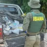 Operação foi realizada pela Polícia Rodoviária Federal (PRF), em ação conjunta com o Instituto Brasileiro do Meio Ambiente e dos Recursos Naturais Renováveis (IBAMA). (Foto: Divulgação/Casa Civil)