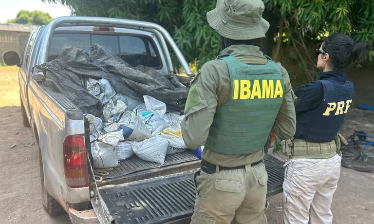 Operação foi realizada pela Polícia Rodoviária Federal (PRF), em ação conjunta com o Instituto Brasileiro do Meio Ambiente e dos Recursos Naturais Renováveis (IBAMA). (Foto: Divulgação/Casa Civil)