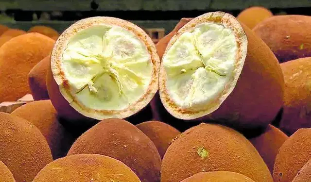 Confira os benefícios da fruta para a saúde (Foto: Divulgação)