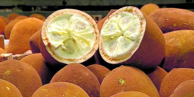 Confira os benefícios da fruta para a saúde (Foto: Divulgação)