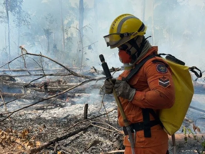 A culminância de todas essas etapas foi a aprovação do Projeto Roraima Verde em setembro de 2024, quase um ano após a entrada no processo (Foto: CBMRR)