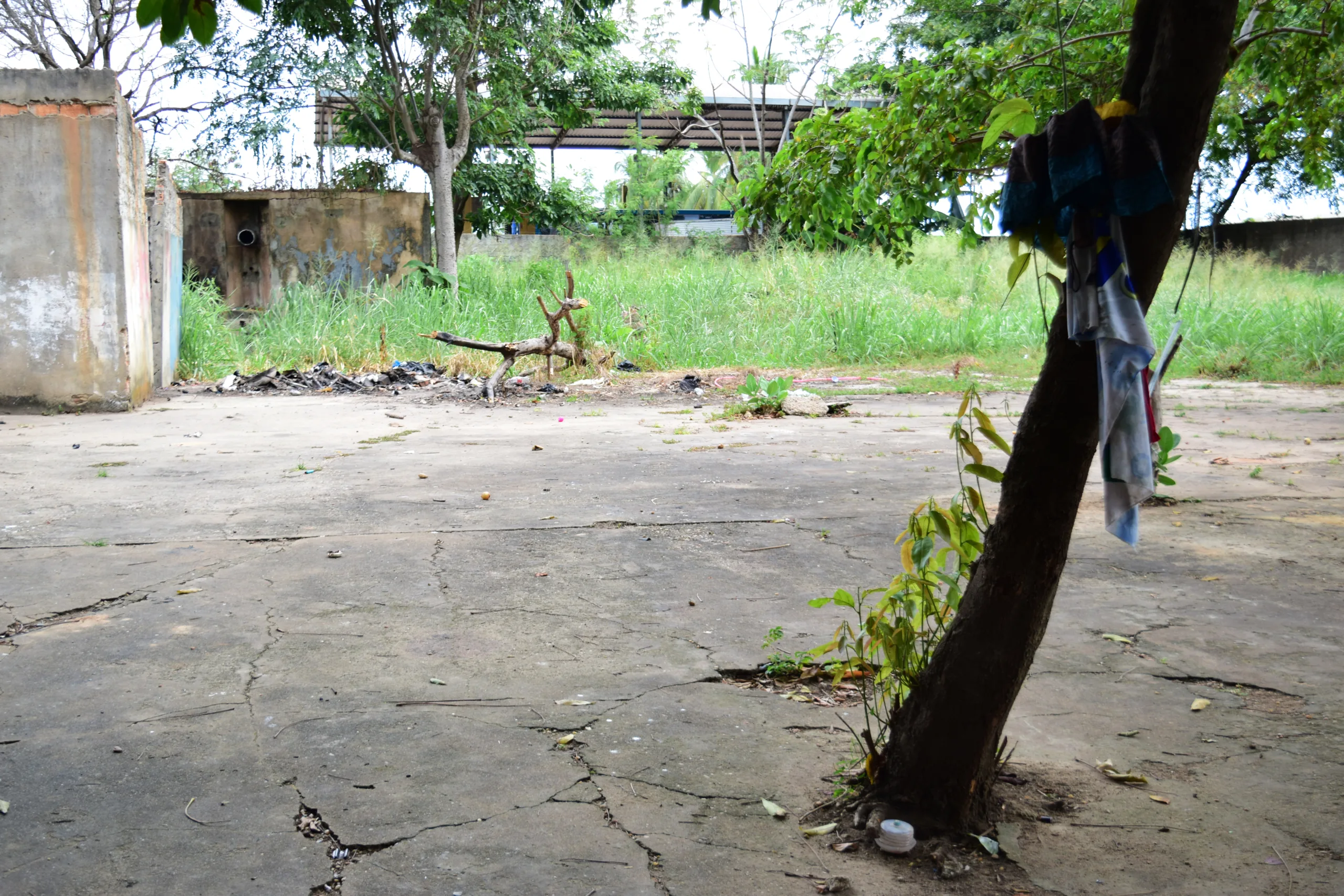 Terreno baldio fica atrás da Feira do Produtor, no bairro São Vicente (Foto: Nilzete Franco/FolhaBV) 