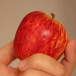 Maçã é rica em fibras, antioxidantes e com um baixo índice glicêmico (Foto: Divulgação)