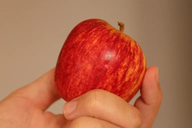 Maçã é rica em fibras, antioxidantes e com um baixo índice glicêmico (Foto: Divulgação)