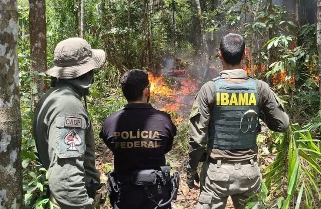 Entre março e setembro de 2024, apenas 37 hectares de novas atividades de garimpo foram detectados, número inferior aos 984 hectares registrados no mesmo período de 2022. (Foto: Divulgação)