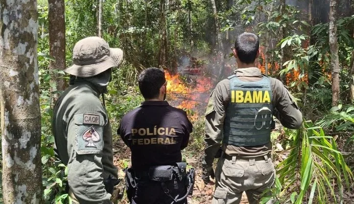 Entre março e setembro de 2024, apenas 37 hectares de novas atividades de garimpo foram detectados, número inferior aos 984 hectares registrados no mesmo período de 2022. (Foto: Divulgação)