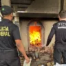 Polícia Federal incinera 430 kg de drogas apreendidas em Alto Alegre