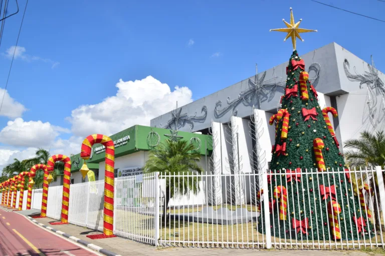 Sede da Câmara Municipal de Boa Vista com enfeites natalinos (Foto: Nilzete Franco/FolhaBV)