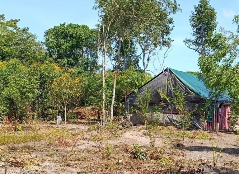 "Sítio Serrinha" na região do Água Boa do Univini no Baixo Rio Branco, em Roraima (Foto: Divulgação) 