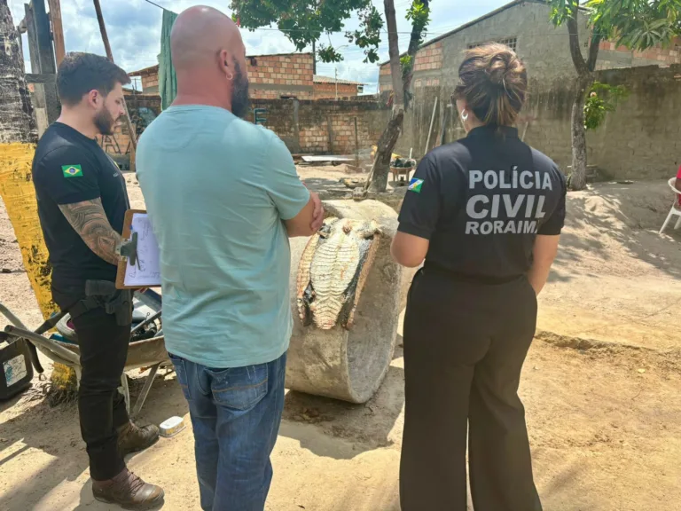 A perícia encontrou a pele e a cabeça do animal no quintal da residência do suspeito (Foto: Divulgação/PCRR)