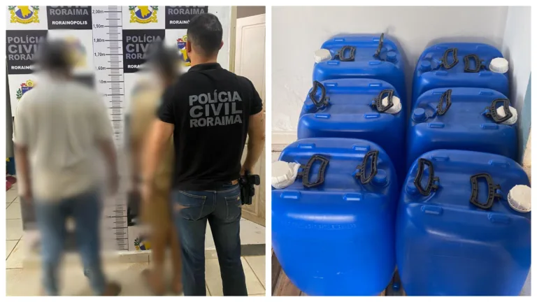 Polícia Civil prendeu dois suspeitos durante a abordagem, um por ser dono da carga e outro por débito com pensão alimentícia (Foto: PCRR)