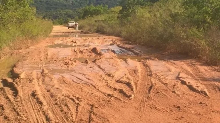 Rodovia RR-171 (Foto: Divulgação)