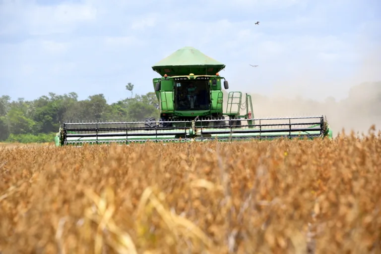 Soja é produto de destaque nas exportações em Roraima