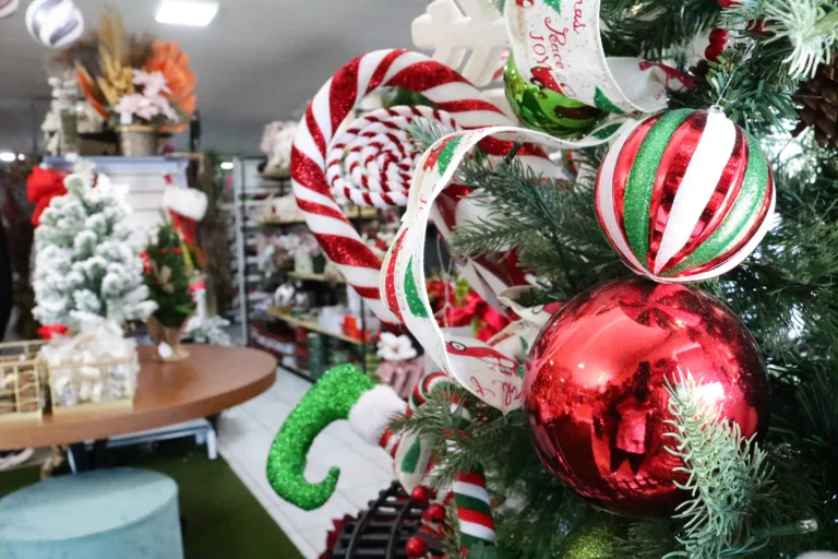 Natal: tempo de reflexão e luta por um mundo melhor