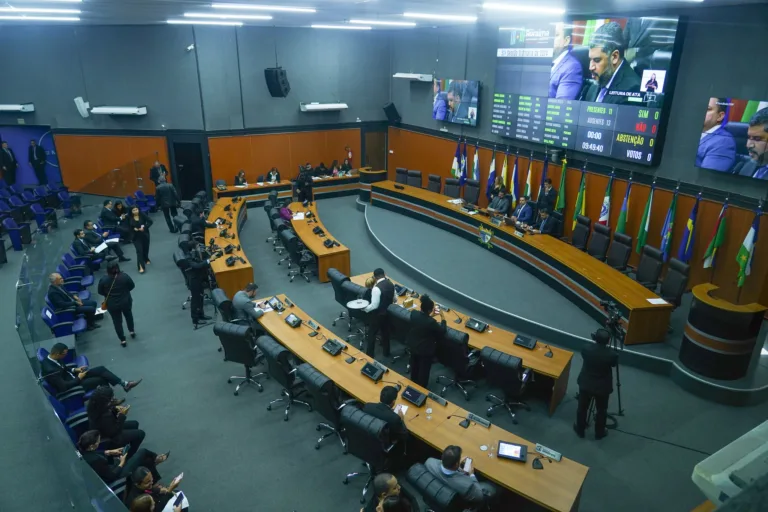 O plenário da Assembleia Legislativa de Roraima (Foto: Marley Lima/SupCom ALE-RR)