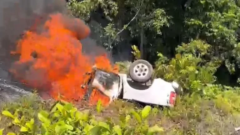 Caminhonete desceu uma ribanceira e pegou fogo. (Imagem: reprodução/vídeo)