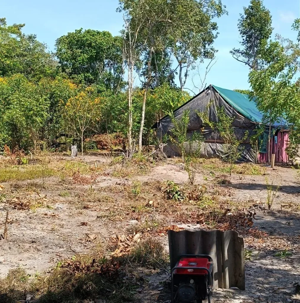 "Sítio Serrinha" na região do Água Boa do Univini no Baixo Rio Branco, em Roraima (Foto: Divulgação) 