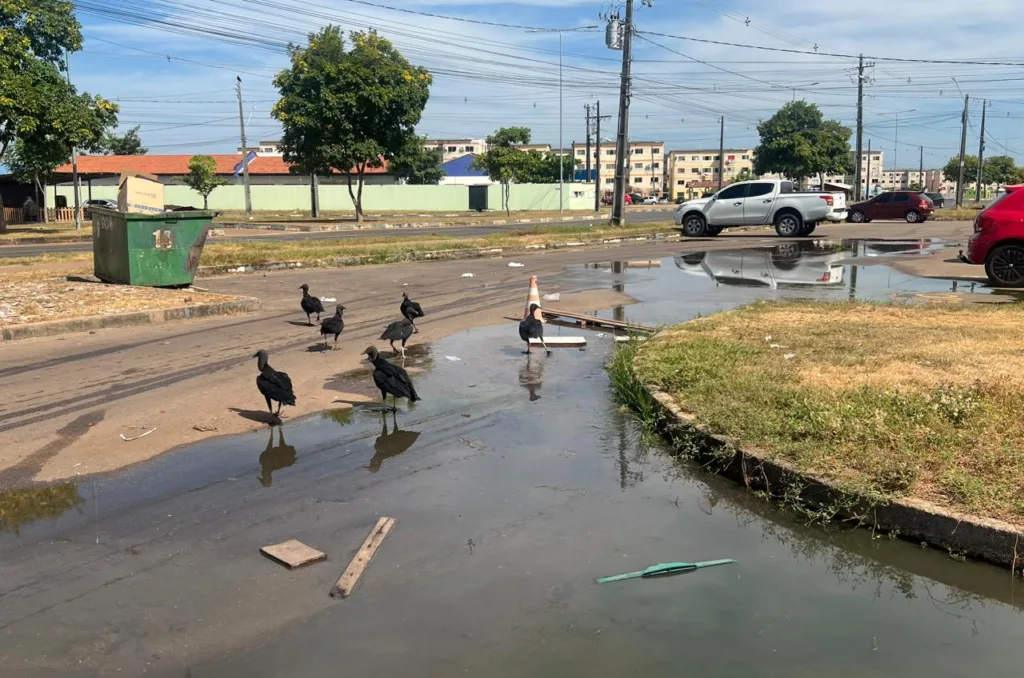 Esgoto transborda no Vila Jardim, tornando-se um problema de saúde pública a ser resolvido (Foto: Jessé Souza)