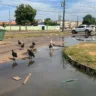 Esgoto transborda no Vila Jardim, tornando-se um problema de saúde pública a ser resolvido (Foto: Jessé Souza)