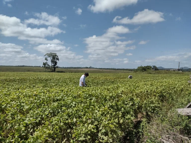 A ação inicia-se em 19 de dezembro e termina em 18 de março. (Foto: Reprodução)