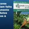 Agricultores denunciam falta de pagamento por produtos entregues à Conab