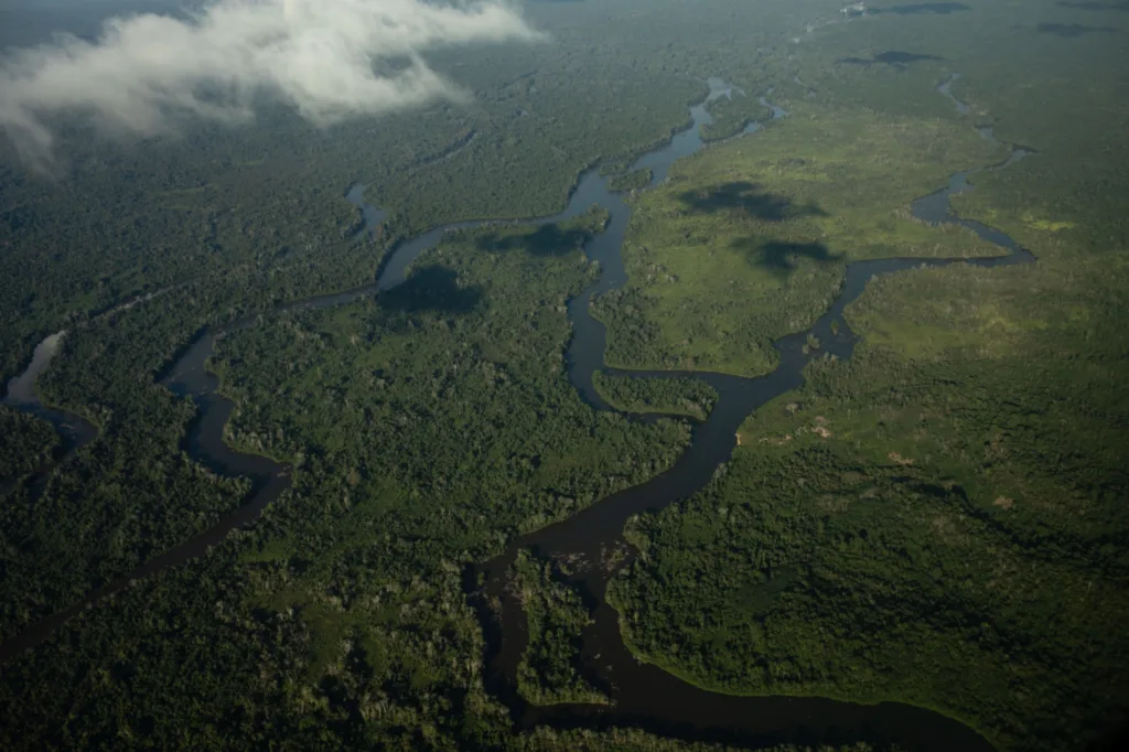 Vista aérea da Terra Indígena Yanomami (Foto: Casa de Governo)