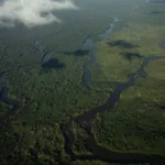 Vista aérea da Terra Indígena Yanomami (Foto: Bruno Mancinelle/Casa de Governo)