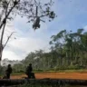 As ações buscam preservar o território e proteger as comunidades indígenas que vivem sob a ameaça constante da invasão garimpeira. (Foto: Comando Operacional Conjunto Catrimani II)