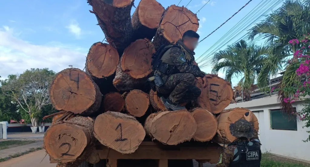 A apreensão ocorreu durante patrulhamento da Companhia Independente de Policiamento Ambiental (Cipa). (Foto: reprodução)