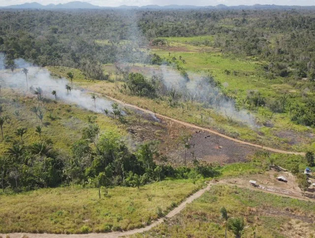 Foto: Acervo/ICMBio

