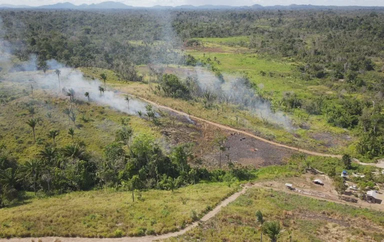 Foto: Acervo/ICMBio

