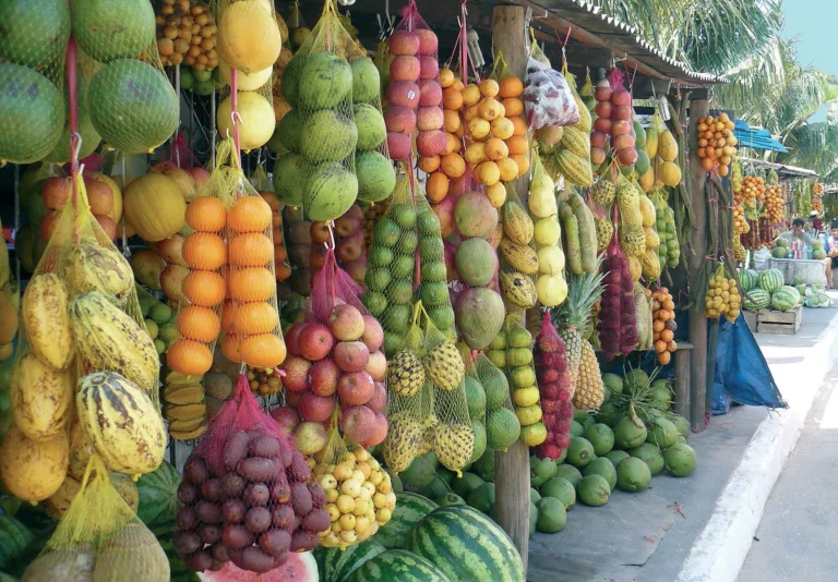 Confira as receitas (Foto; Divulgação)