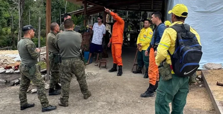 Corpo de Bombeiros foi acionado dia 27 de dezembro de 2024 (Foto: Rede social) 