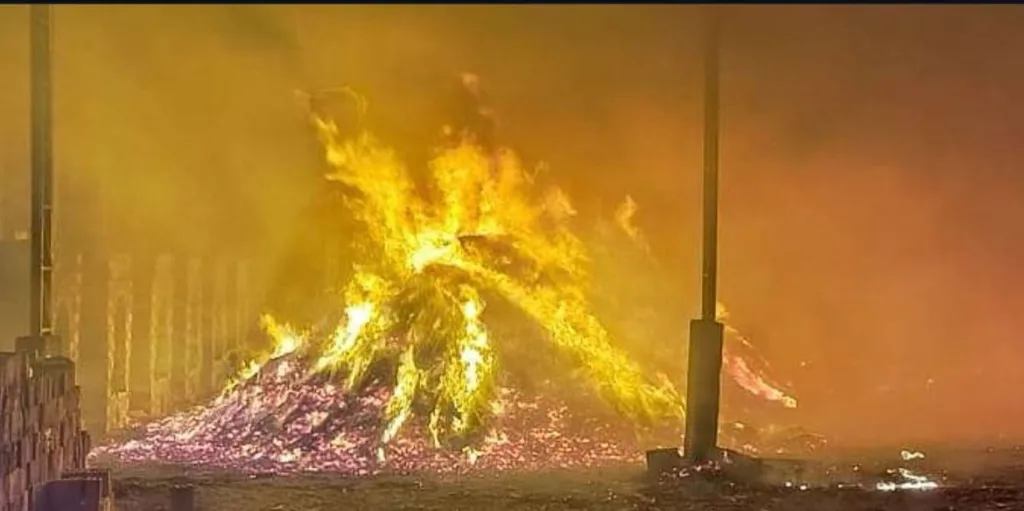 O incêndio durou mais de 5h (Foto: Divulgação)