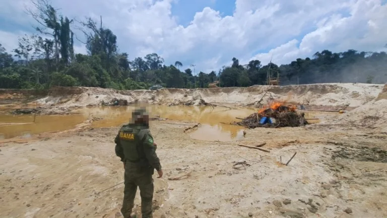 Agente do Ibama durante ação de fiscalização na Terra Indígena Yanomami (Foto: Ibama)