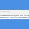 Enquetes disfarçadas de pesquisas explodem nas redes a um ano da eleição