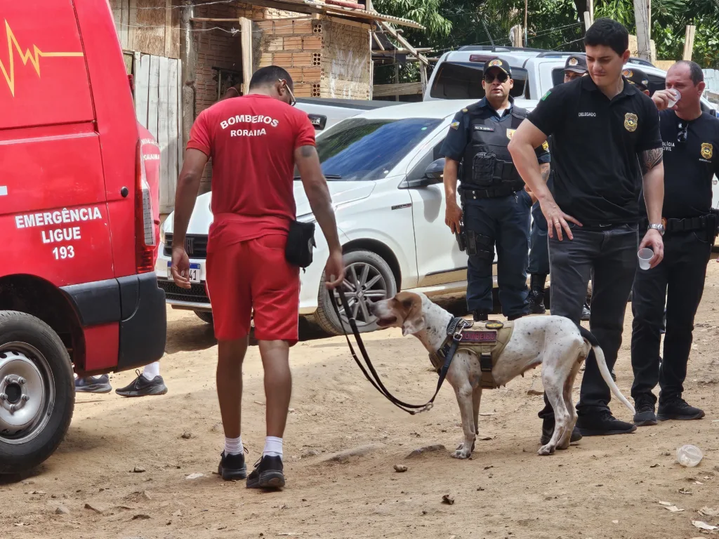 Cadela Amora do Corpo de Bombeiros auxilia nas buscas (Foto: Fernanda Vasconcelos/FolhaBV)