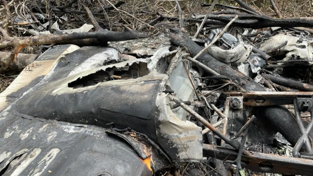 Agentes da PF identificaram os corpos sem vida no local de queda do avião (Foto: FAB)