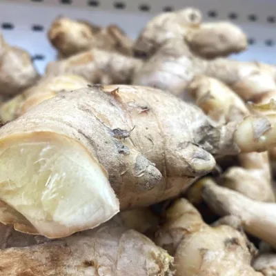 Um componente do gengibre freso é o gingerol, que tem propriedades antioxidantes, anti-inflamatórias (Foto: Raisa Carvalho)