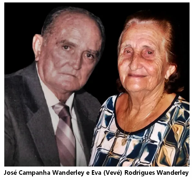 Famílias campanha Wanderley - ribas Galvão e pereira de matos.