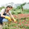 Como saber quando é o momento de fazer a poda de flores em suas plantas