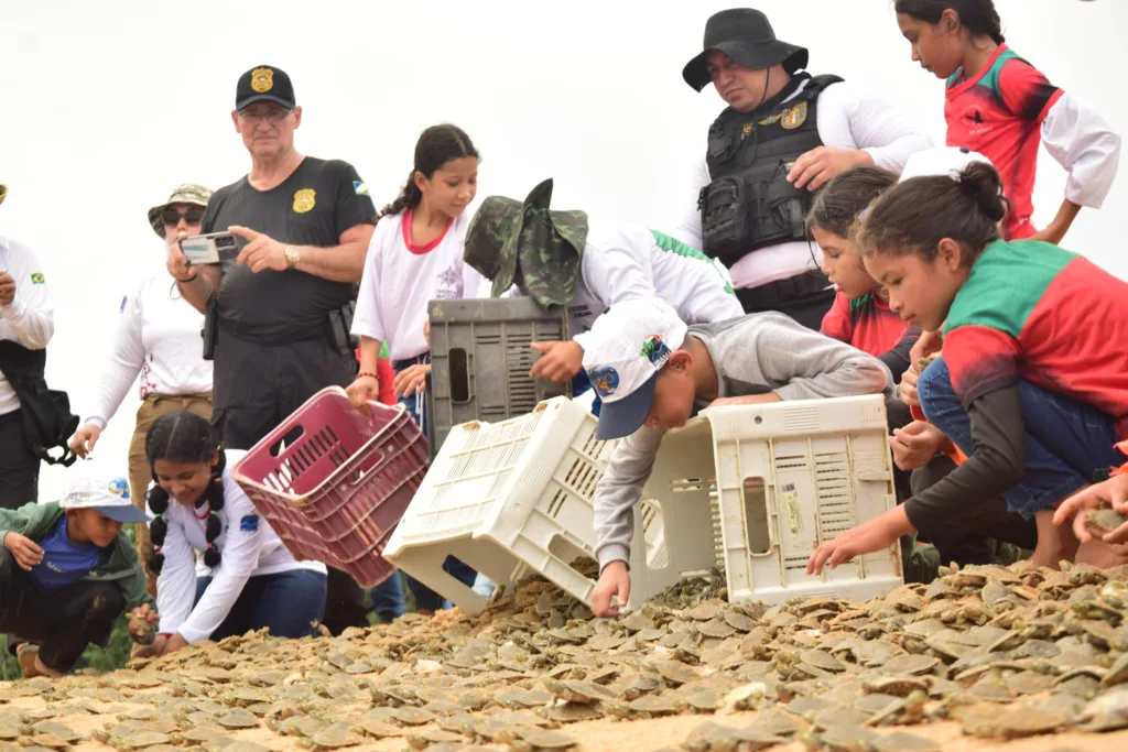 As crianças receberam aulas de preservação ambiental na escola Vovó Tetinha, em Santa Maria do Boiaçu (Foto: Nilzete Franco/FolhaBV)