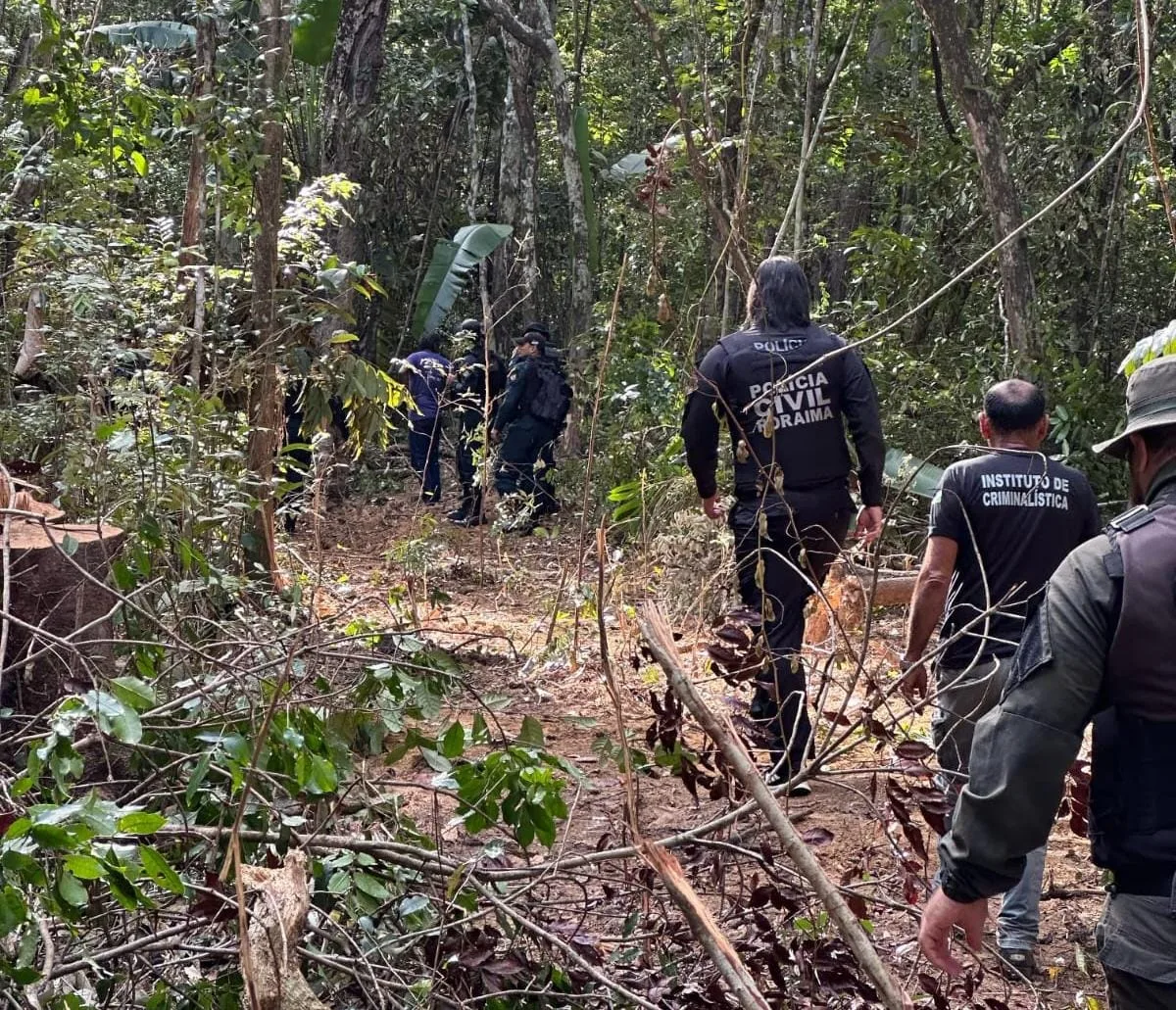 A operação foi entre a Polícia Civil de Roraima, em parceria com a Polícia Militar e Fundação Estadual do Meio Ambiente e Recursos Hídricos (Foto: Ascom/PCRR)