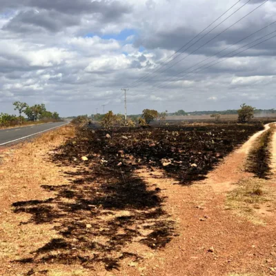 Roraima desponta como vice-campeão das queimadas, apesar das chuvas