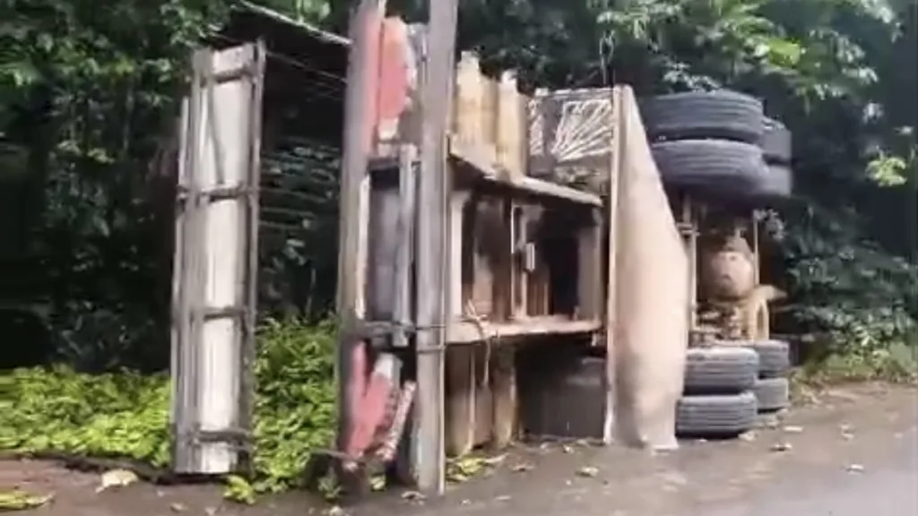 Caminhão carregava bananas até Manaus (Foto: Reprodução)