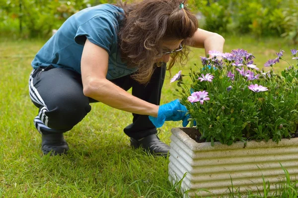 Como saber quando é o momento de fazer a poda de flores em suas plantas