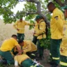 Brigadistas indígenas do Ibama recebem treinamento de primeiros socorros (Foto: Divulgação)