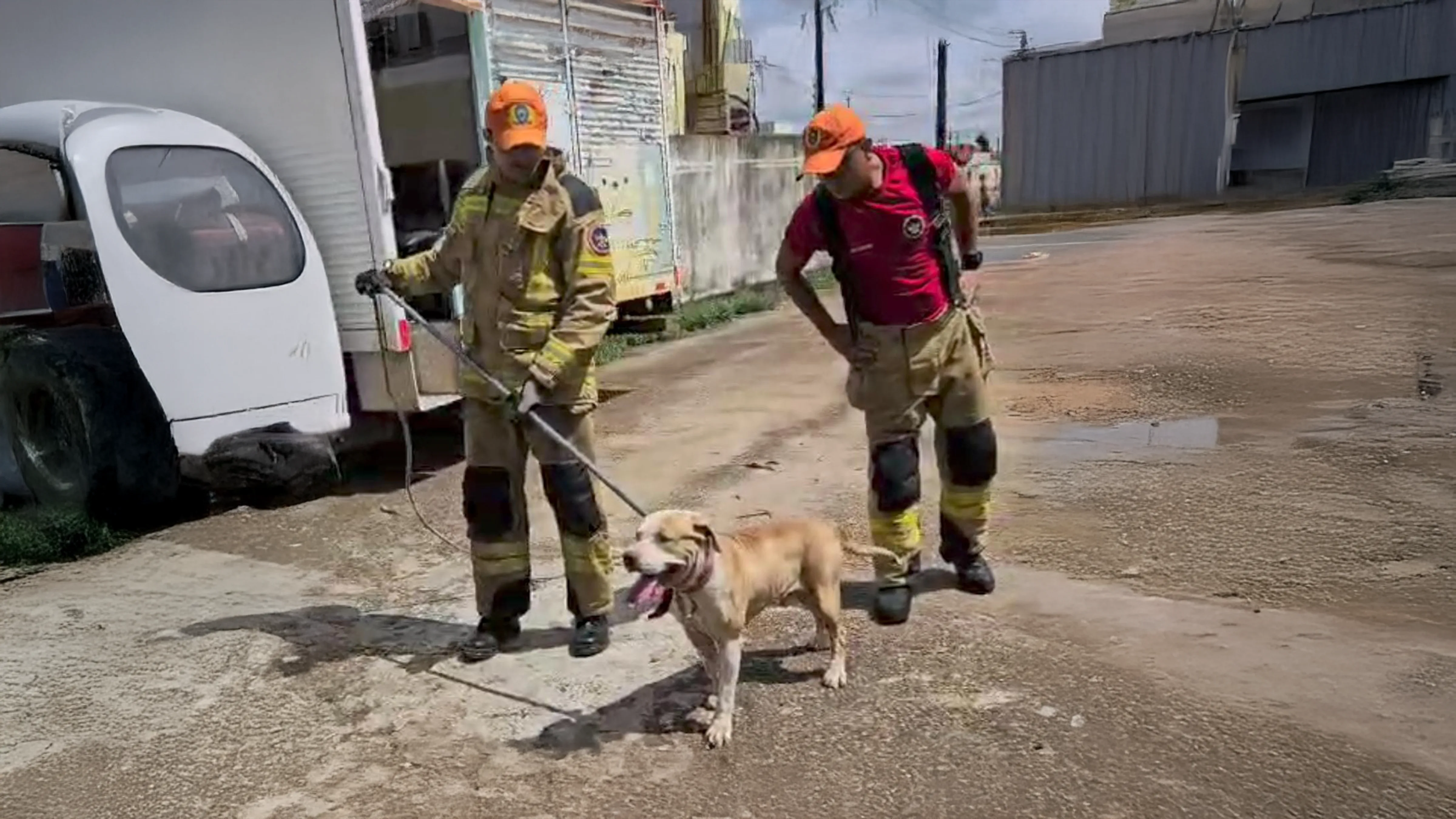 Momento em que o cachorro é socorrido pelos bombeiros (Foto: Reprodução) 